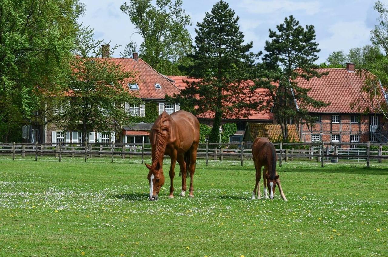 Ferienwohnungen Georgenbruch Everswinkel Экстерьер фото