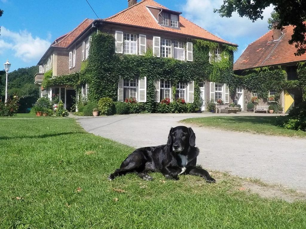 Ferienwohnungen Georgenbruch Everswinkel Экстерьер фото